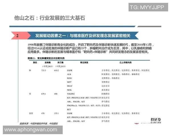 实时新闻数据分析视角下液化天然气市场意识与趋势的深度探讨